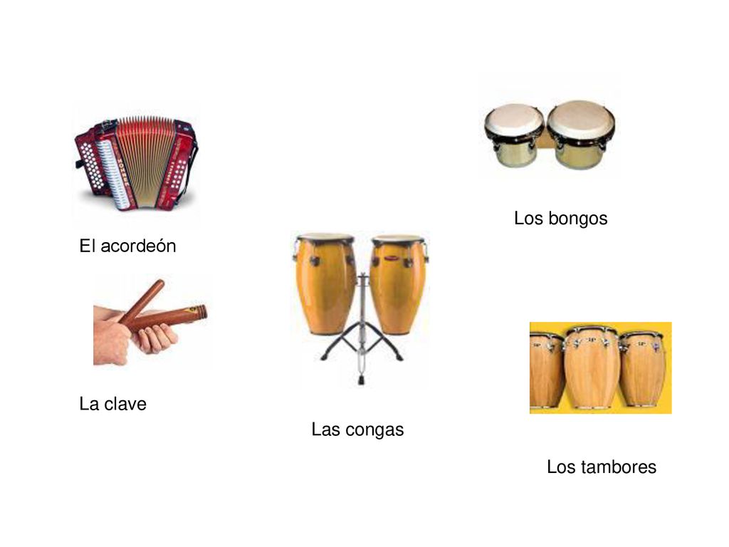 Los bongos El acordeón La clave Las congas Los tambores
