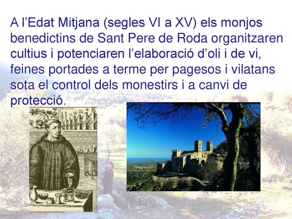 A l’Edat Mitjana (segles VI a XV) els monjos benedictins de Sant Pere de Roda organitzaren cultius i potenciaren l’elaboració d’oli i de vi, feines portades a terme per pagesos i vilatans sota el control dels monestirs i a canvi de protecció.