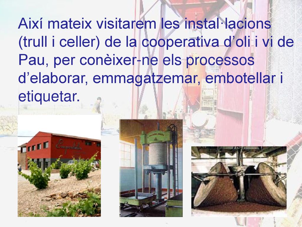 Així mateix visitarem les instal·lacions (trull i celler) de la cooperativa d’oli i vi de Pau, per conèixer-ne els processos d’elaborar, emmagatzemar, embotellar i etiquetar.