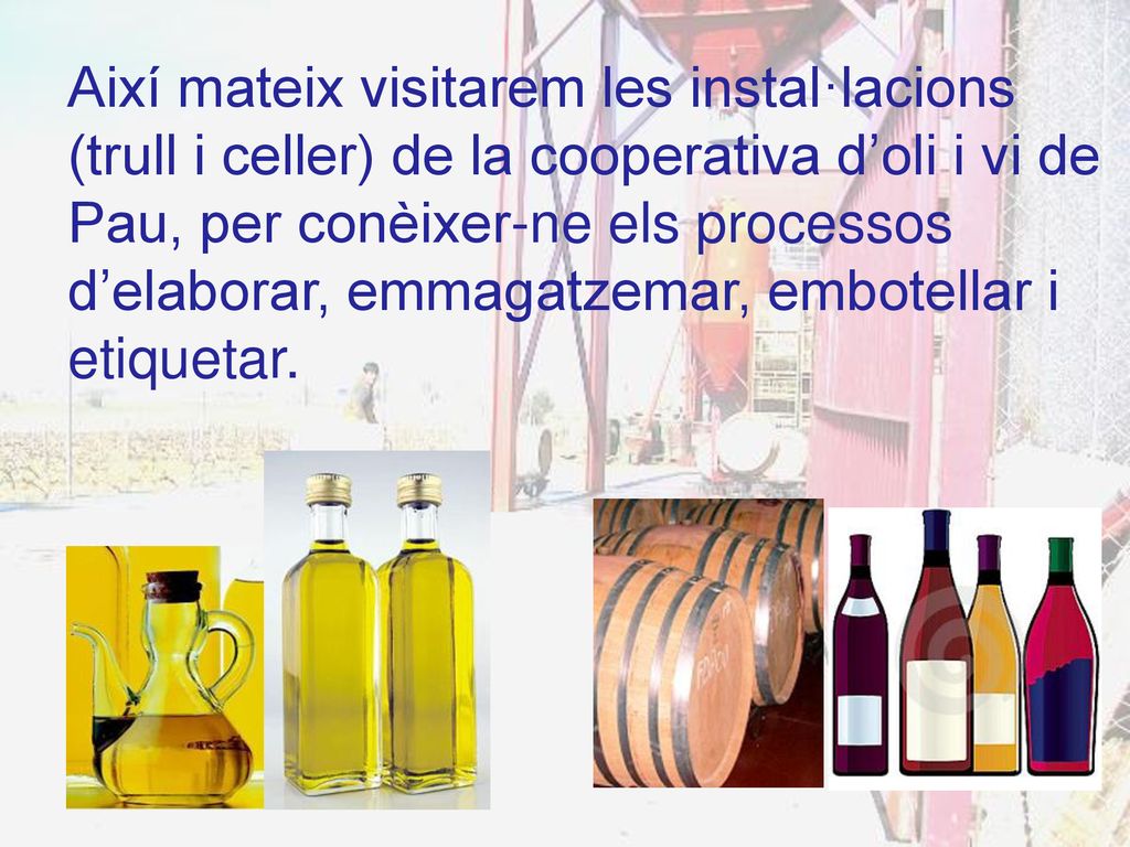 Així mateix visitarem les instal·lacions (trull i celler) de la cooperativa d’oli i vi de Pau, per conèixer-ne els processos d’elaborar, emmagatzemar, embotellar i etiquetar.