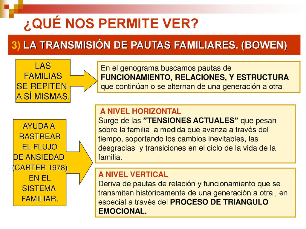¿QUÉ NOS PERMITE VER 3) LA TRANSMISIÓN DE PAUTAS FAMILIARES. (BOWEN)