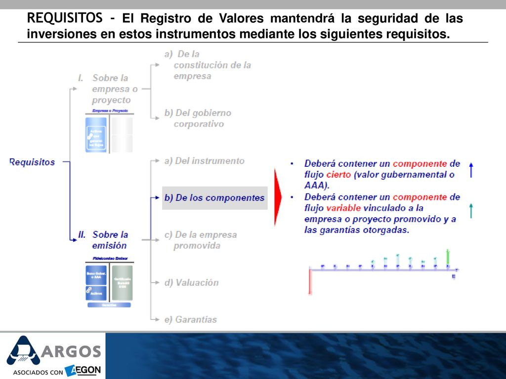 REQUISITOS - El Registro de Valores mantendrá la seguridad de las inversiones en estos instrumentos mediante los siguientes requisitos.