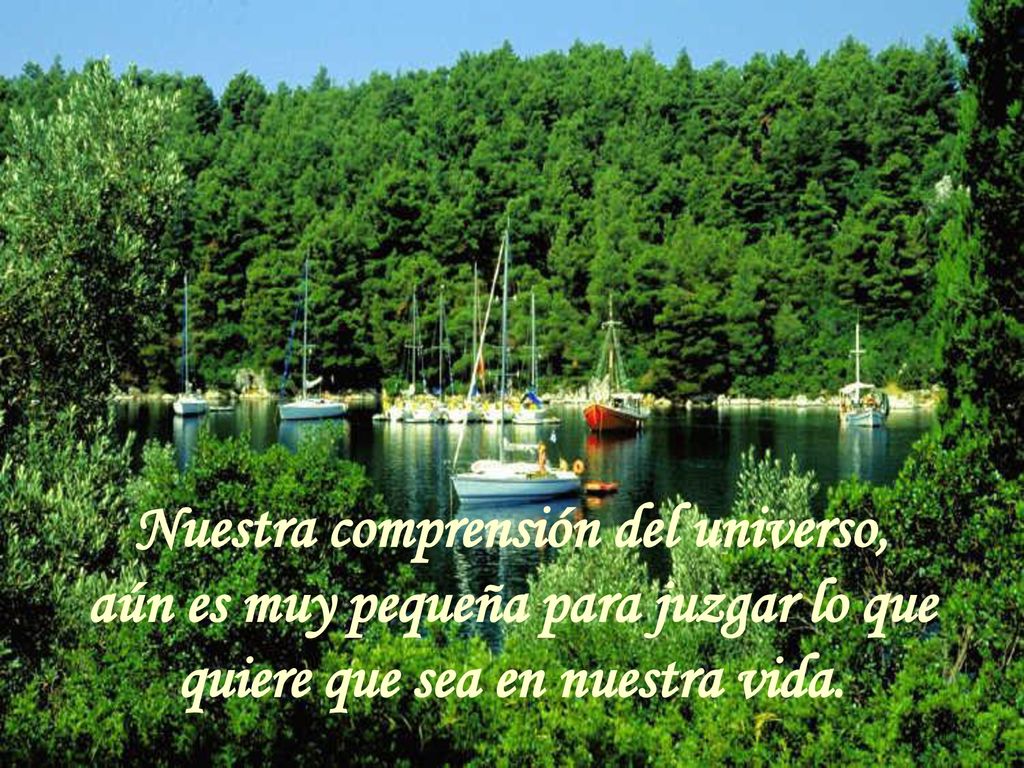 Nuestra comprensión del universo, aún es muy pequeña para juzgar lo que quiere que sea en nuestra vida.