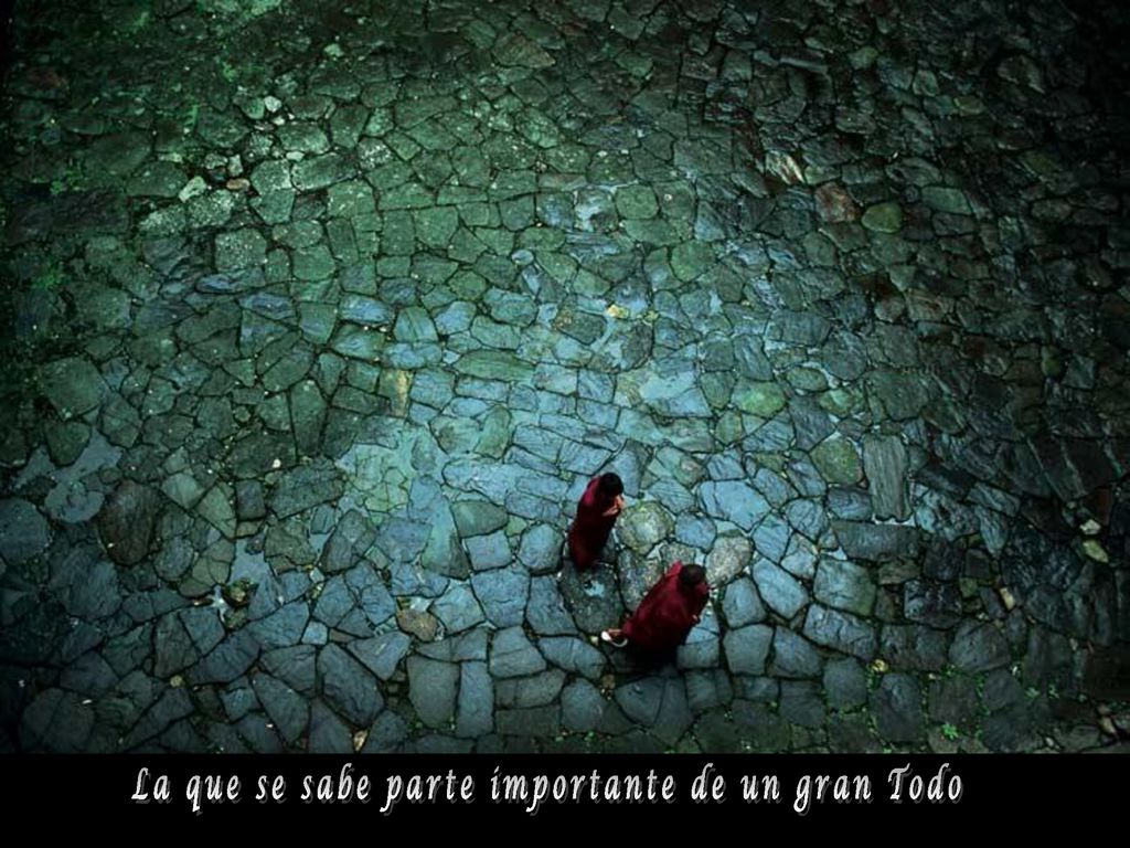La que se sabe parte importante de un gran Todo
