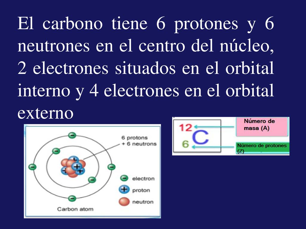 El carbono tiene 6 protones y 6 neutrones en el centro del núcleo, 2 electrones situados en el orbital interno y 4 electrones en el orbital externo