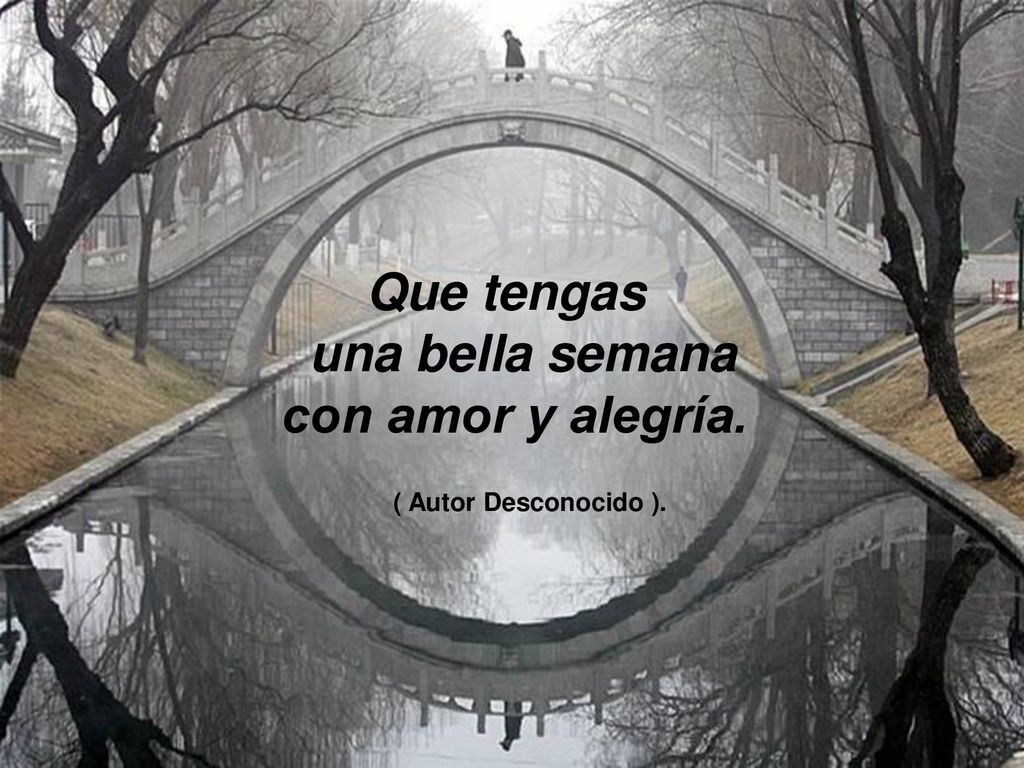 Que tengas una bella semana con amor y alegría. ( Autor Desconocido ).