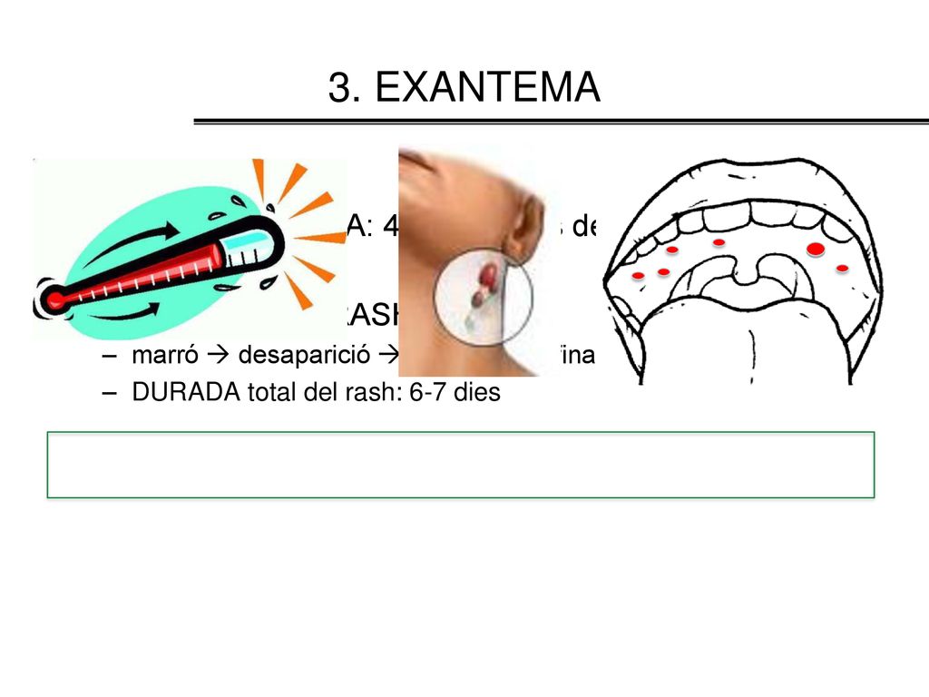 3. EXANTEMA MILLORIA CLINICA: 48hr després de l’aparició del rash