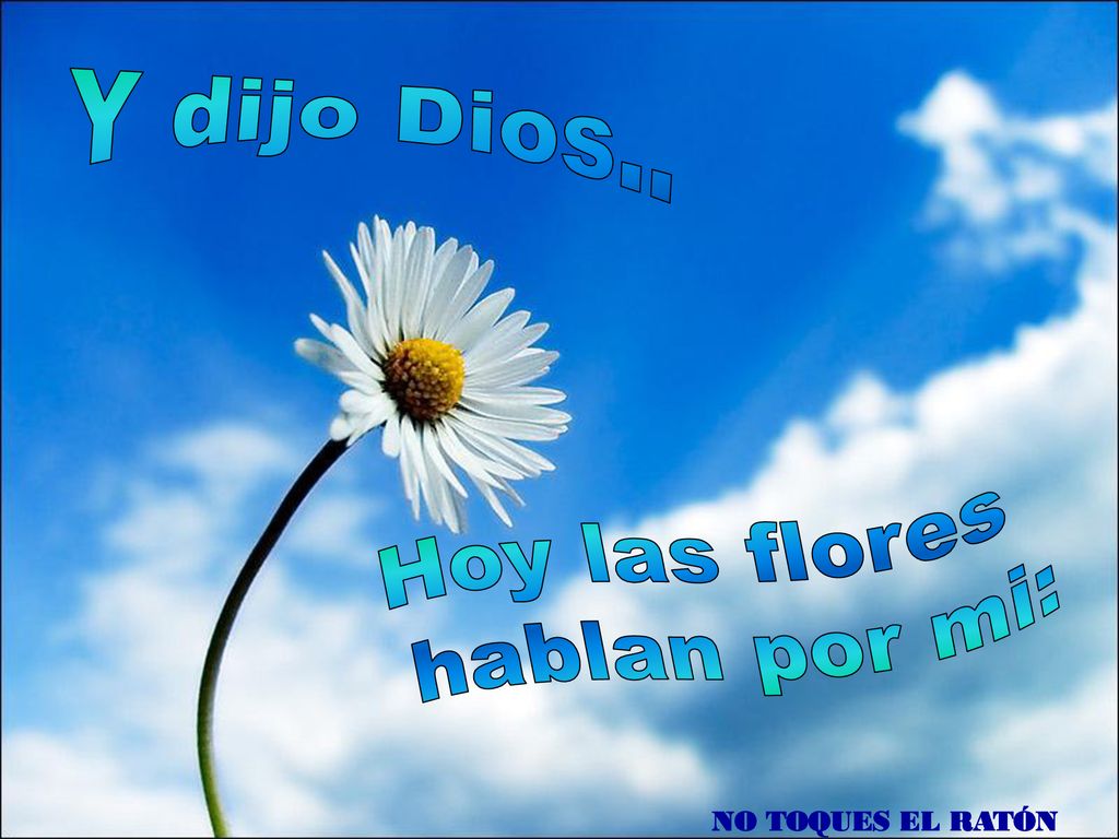 Y dijo Dios.. Y dijo Dios.. Hoy las flores hablan por mi: