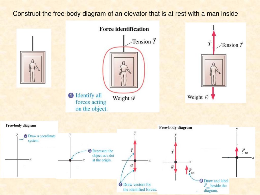 Construct the free-body diagram of an elevator that is at rest with a man inside