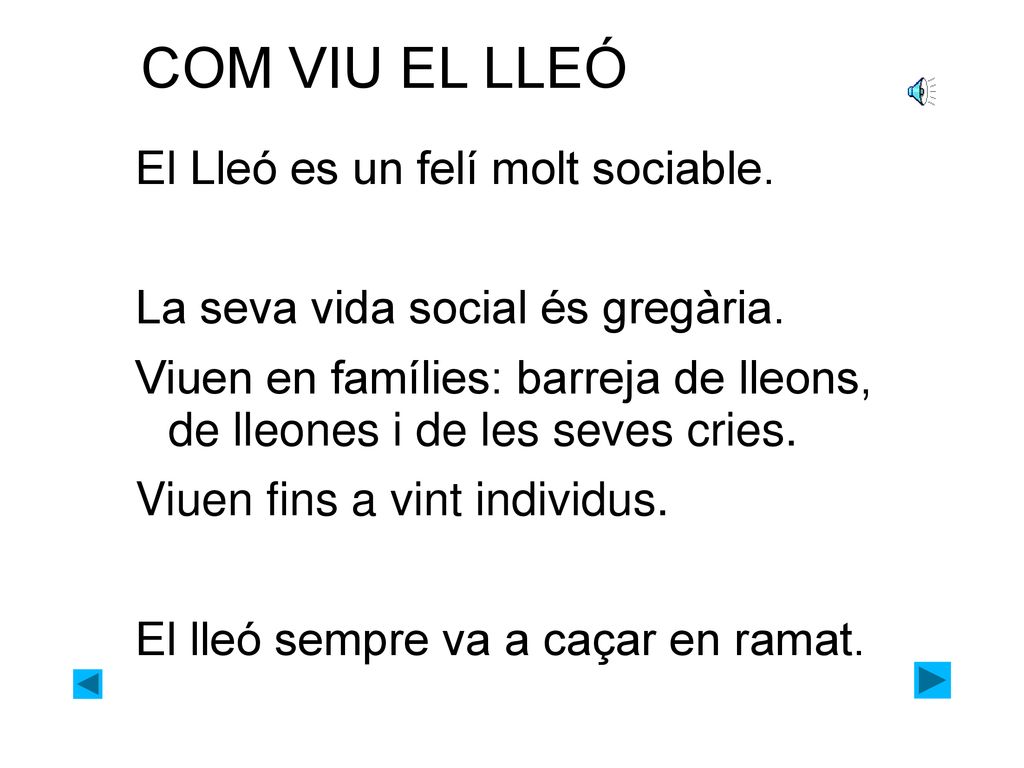 COM VIU EL LLEÓ El Lleó es un felí molt sociable.