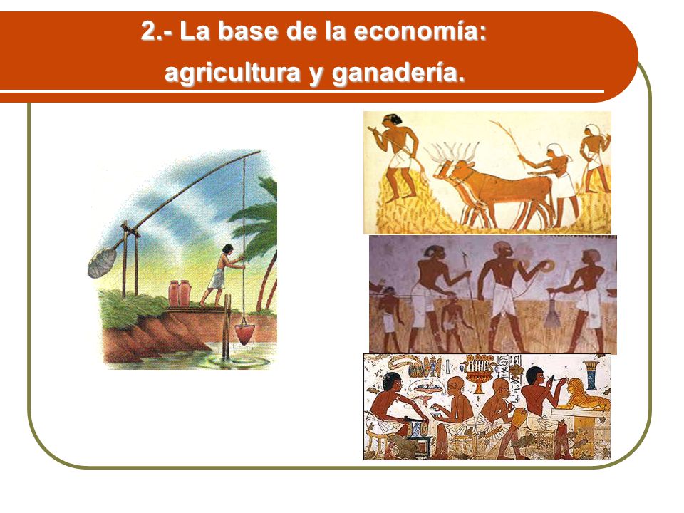 2.- La base de la economía: agricultura y ganadería.
