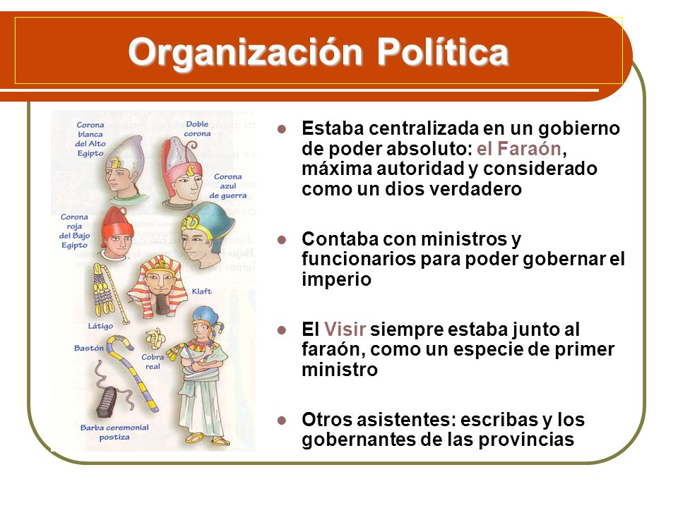 Organización Política