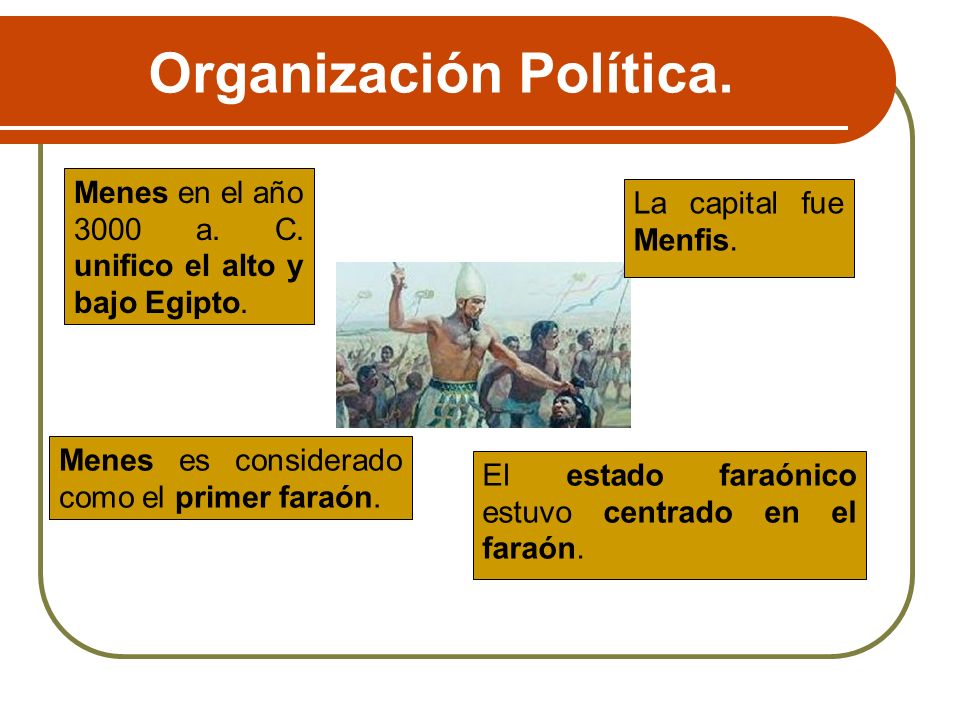 Organización Política.