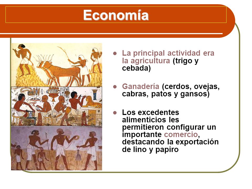 Economía La principal actividad era la agricultura (trigo y cebada)