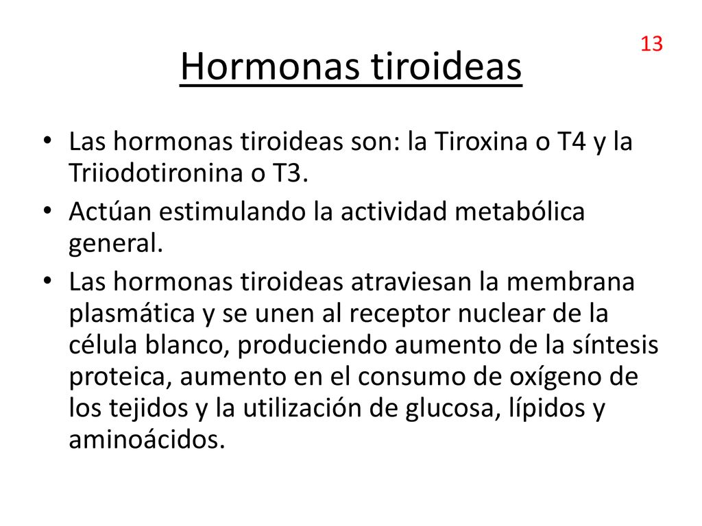 Hormonas tiroideas 13. Las hormonas tiroideas son: la Tiroxina o T4 y la Triiodotironina o T3. Actúan estimulando la actividad metabólica general.