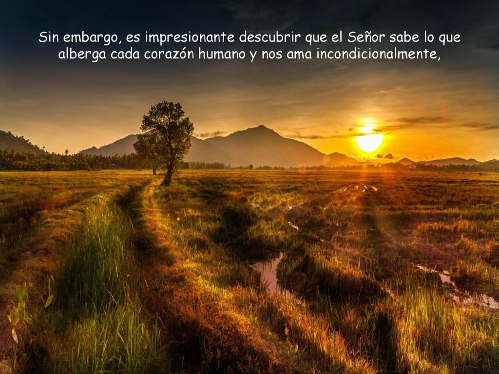 Sin embargo, es impresionante descubrir que el Señor sabe lo que alberga cada corazón humano y nos ama incondicionalmente,