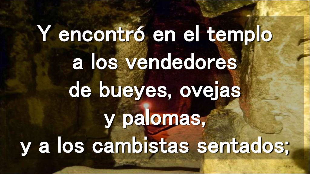 Y encontró en el templo a los vendedores de bueyes, ovejas y palomas, y a los cambistas sentados;