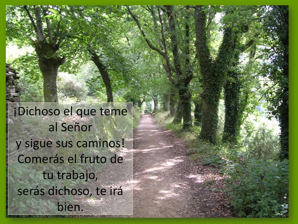 ¡Dichoso el que teme al Señor y sigue sus caminos