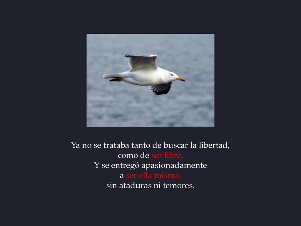 Ya no se trataba tanto de buscar la libertad, como de ser libre.