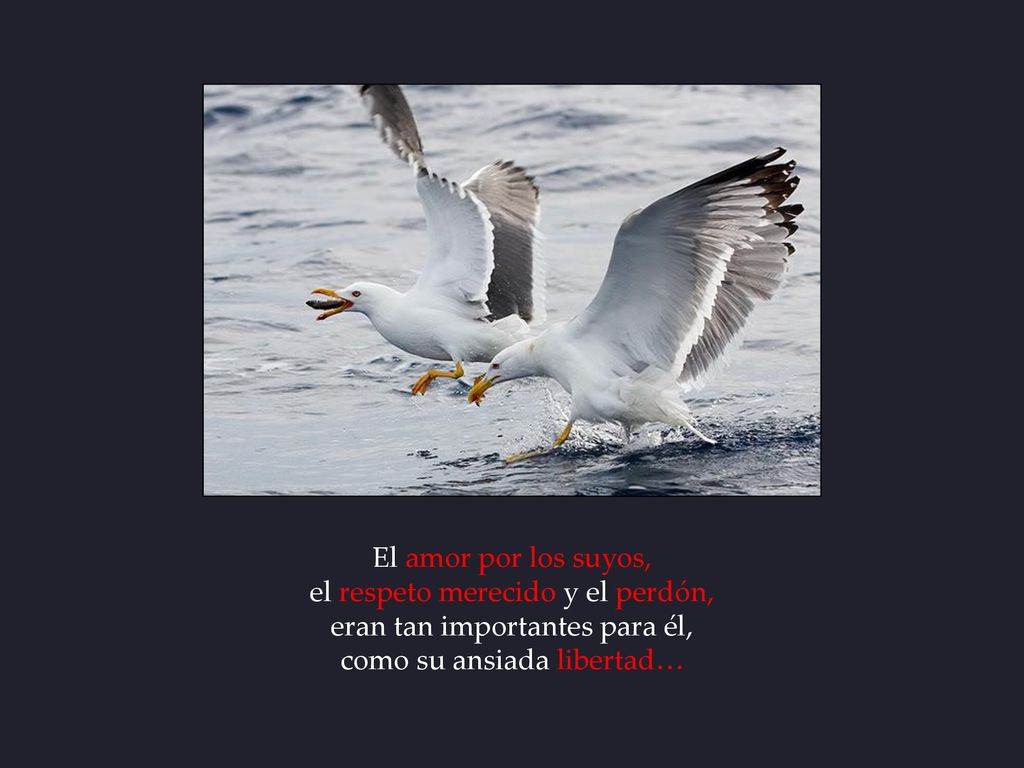 el respeto merecido y el perdón, eran tan importantes para él,