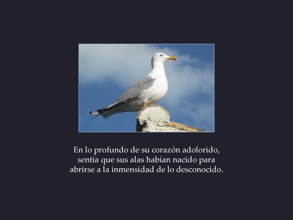 En lo profundo de su corazón adolorido,