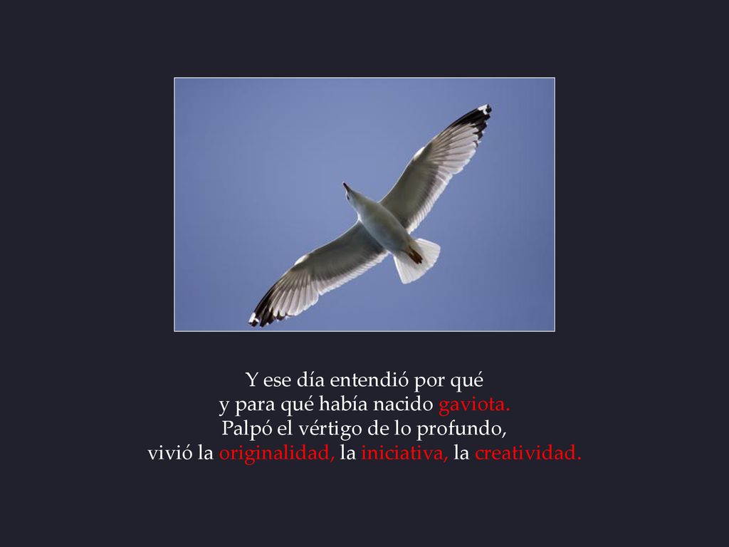 Y ese día entendió por qué y para qué había nacido gaviota.