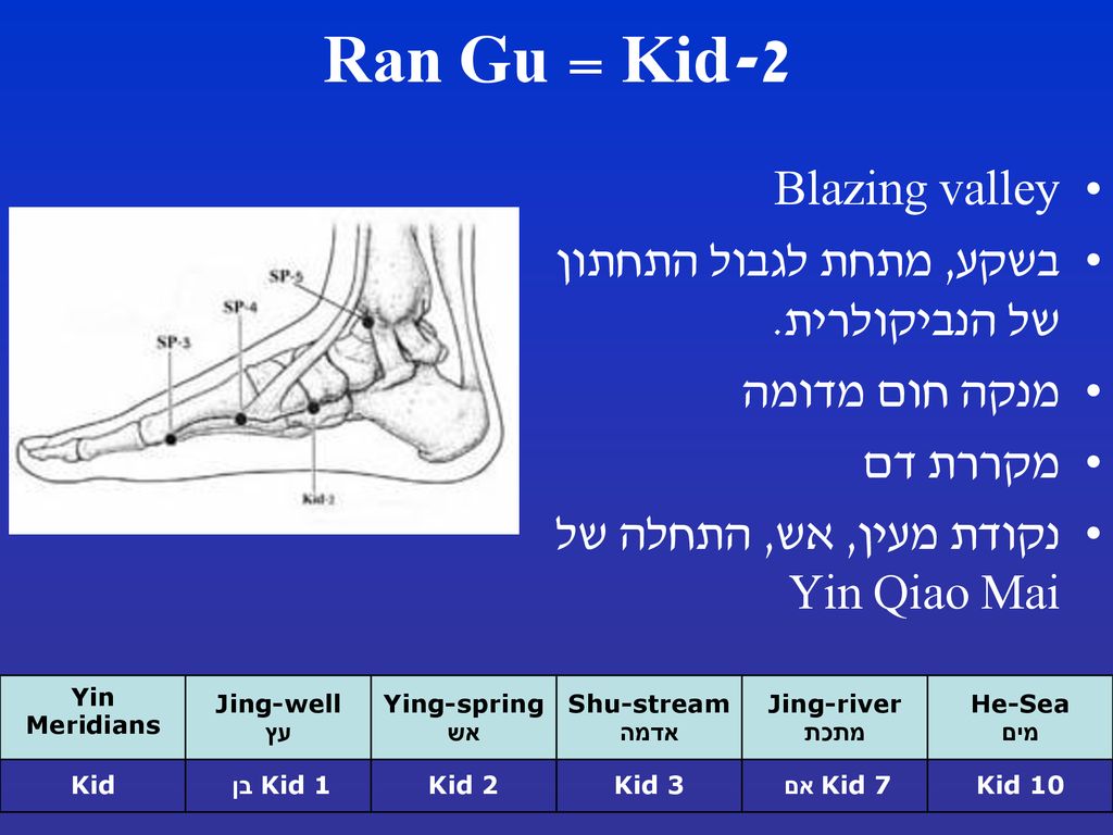 Kid-2 = Ran Gu Blazing valley בשקע, מתחת לגבול התחתון של הנביקולרית.