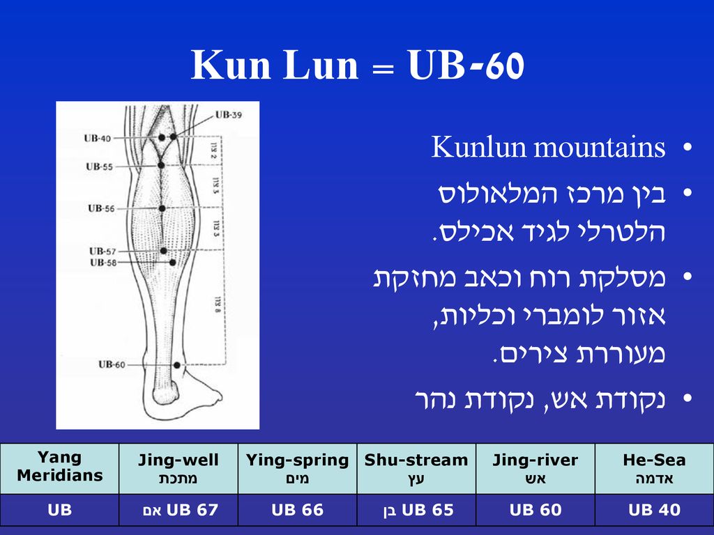 UB-60 = Kun Lun Kunlun mountains בין מרכז המלאולוס הלטרלי לגיד אכילס.