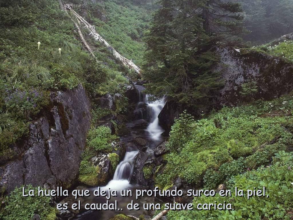 La huella que deja un profundo surco en la piel,