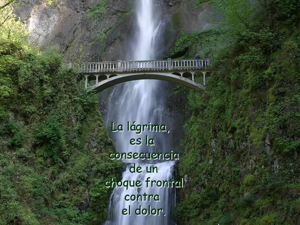 La lágrima, es la consecuencia de un choque frontal contra el dolor.