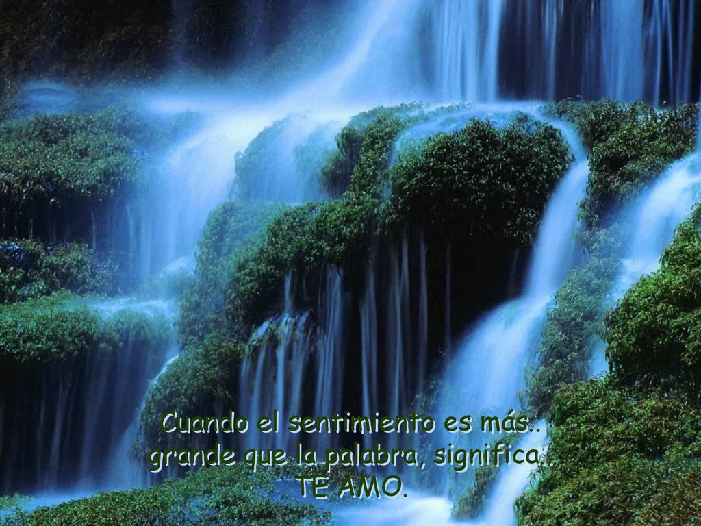 Cuando el sentimiento es más.. grande que la palabra, significa.. TE AMO.
