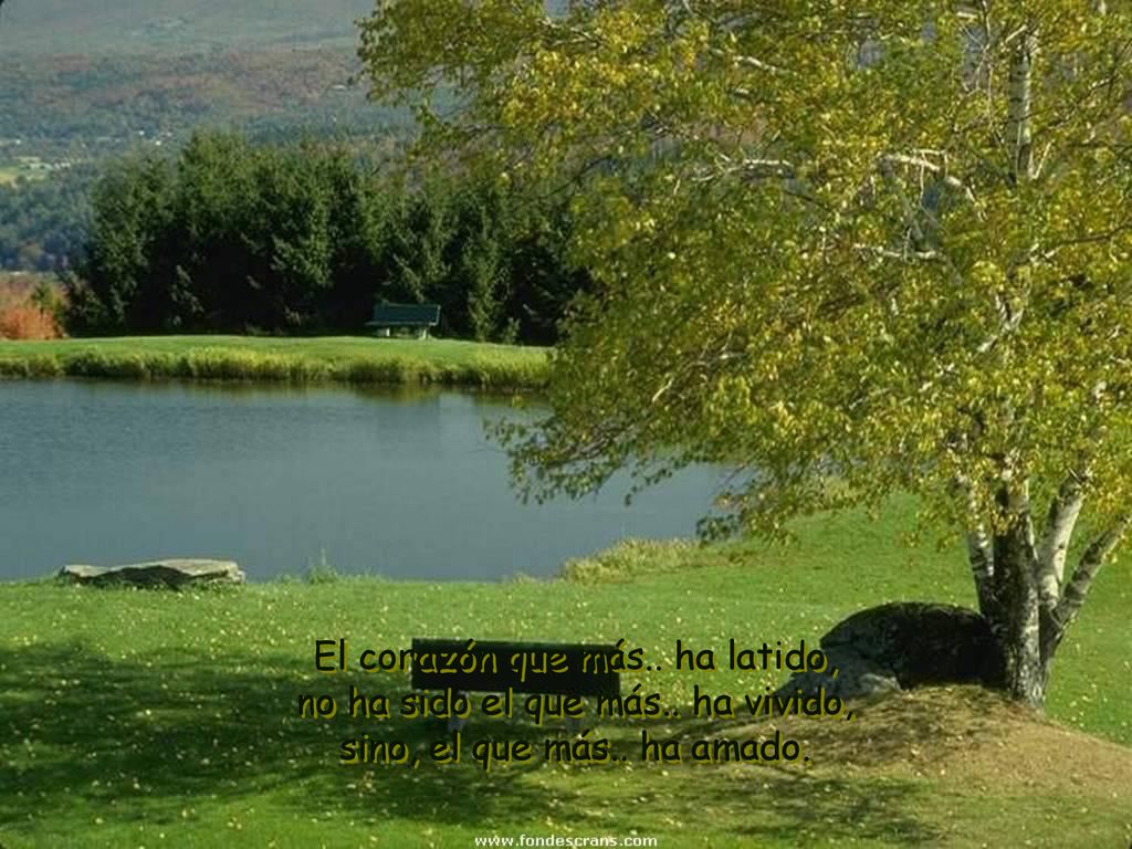 El corazón que más.. ha latido, no ha sido el que más.. ha vivido,