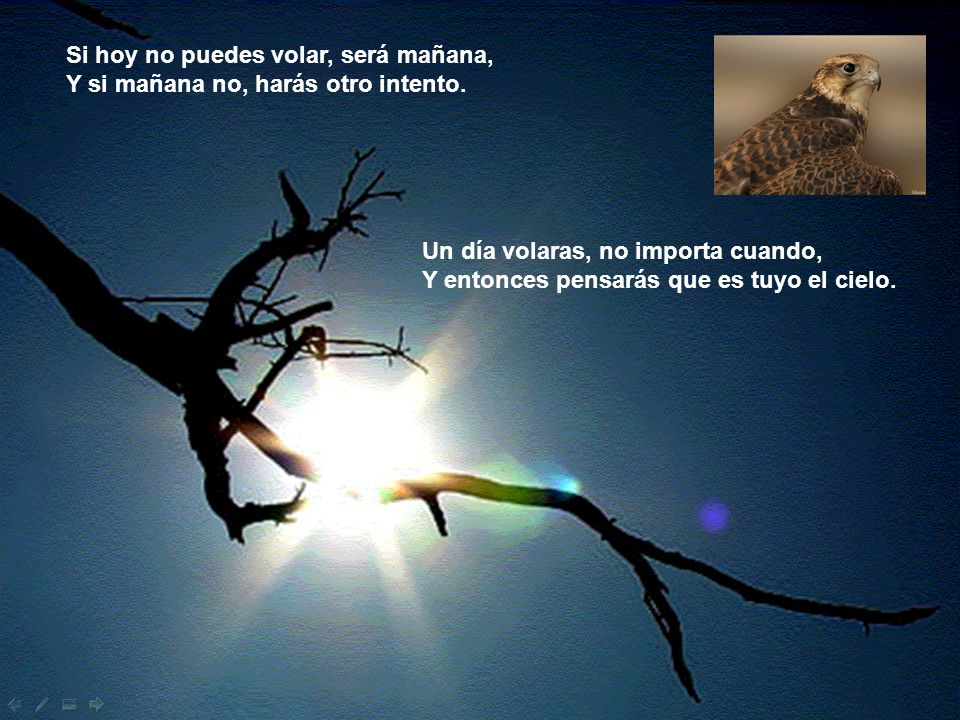 Si hoy no puedes volar, será mañana,