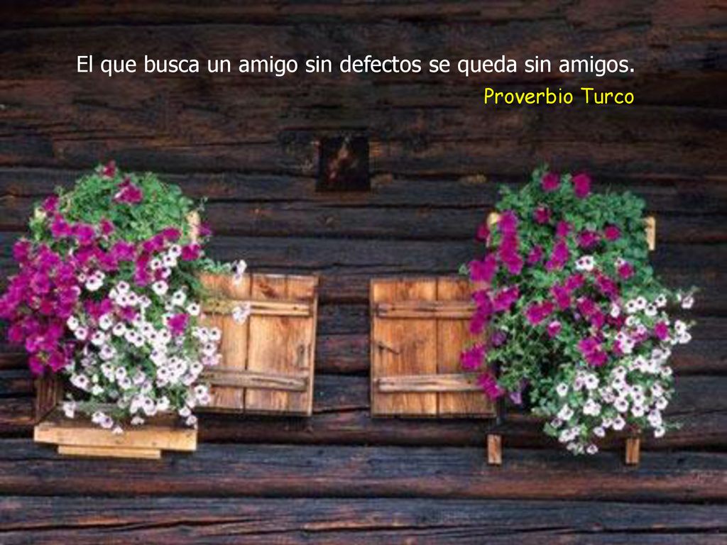 El que busca un amigo sin defectos se queda sin amigos.