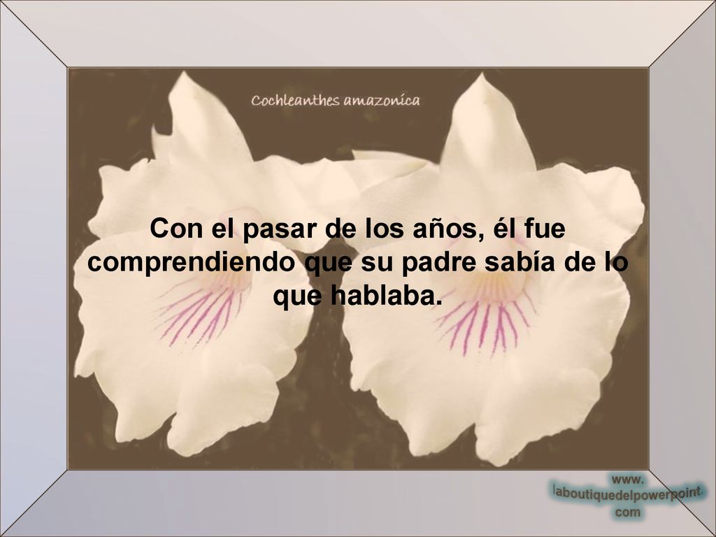 Con el pasar de los años, él fue comprendiendo que su padre sabía de lo que hablaba.