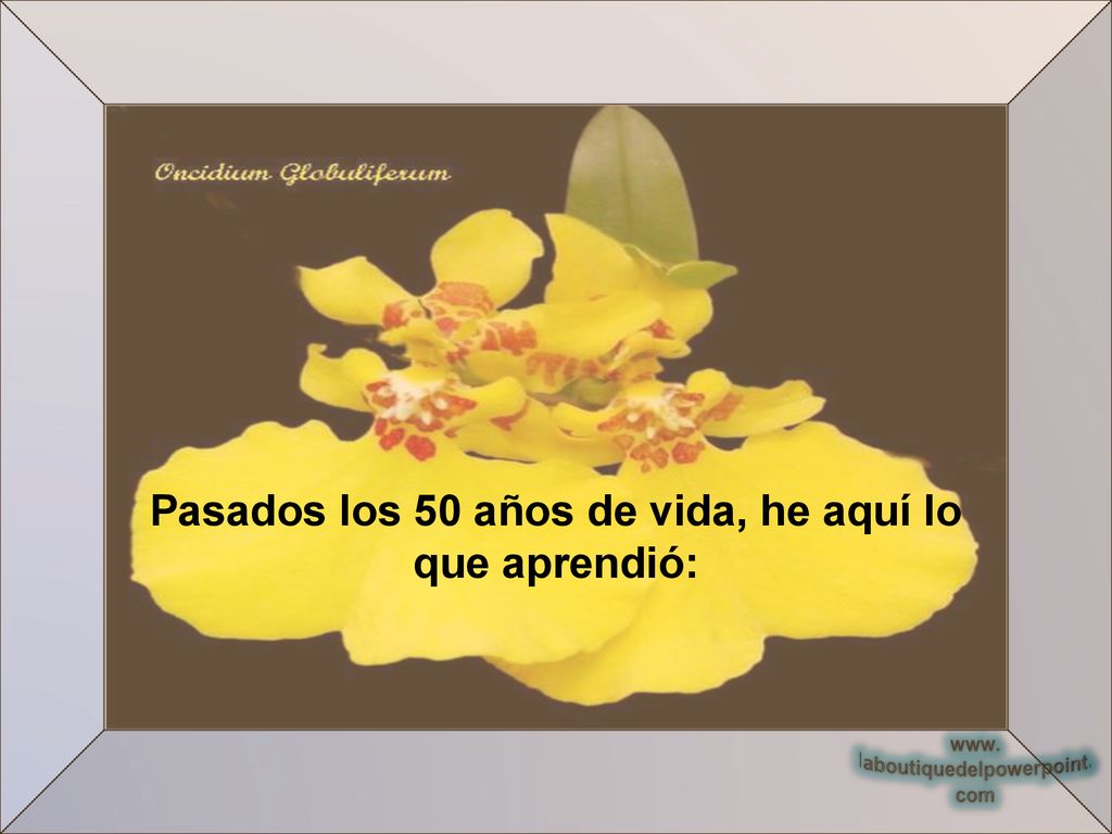 Pasados los 50 años de vida, he aquí lo que aprendió: