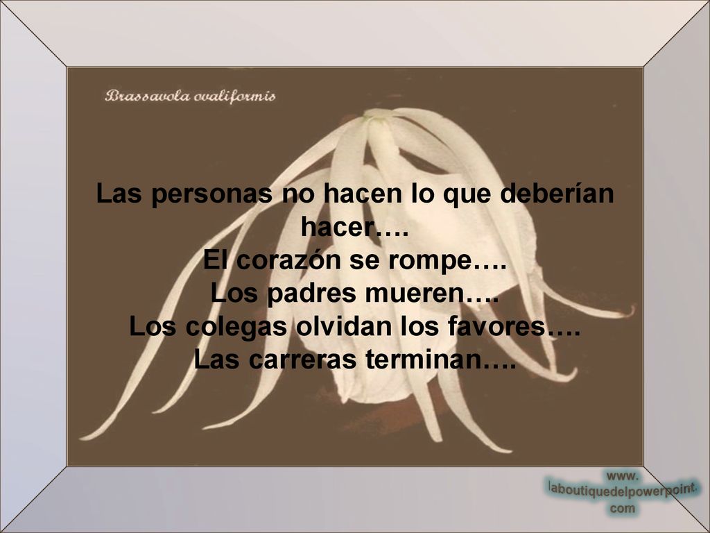 Las personas no hacen lo que deberían hacer…. El corazón se rompe….