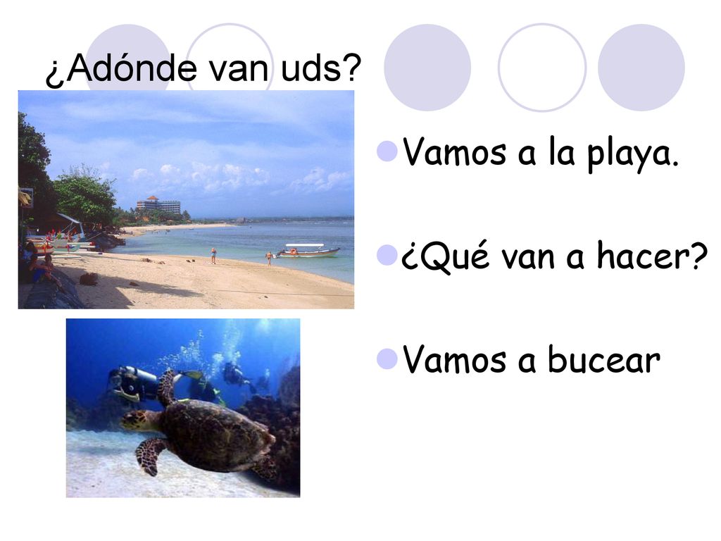 ¿Adónde van uds Vamos a la playa. ¿Qué van a hacer Vamos a bucear