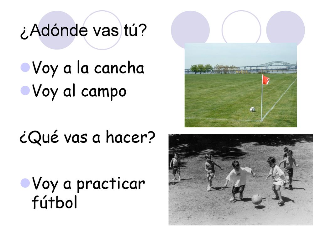 ¿Adónde vas tú Voy a la cancha Voy al campo ¿Qué vas a hacer
