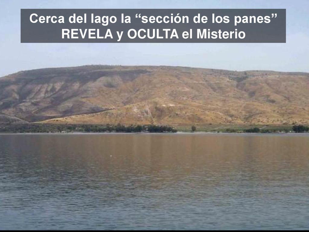 Cerca del lago la sección de los panes REVELA y OCULTA el Misterio