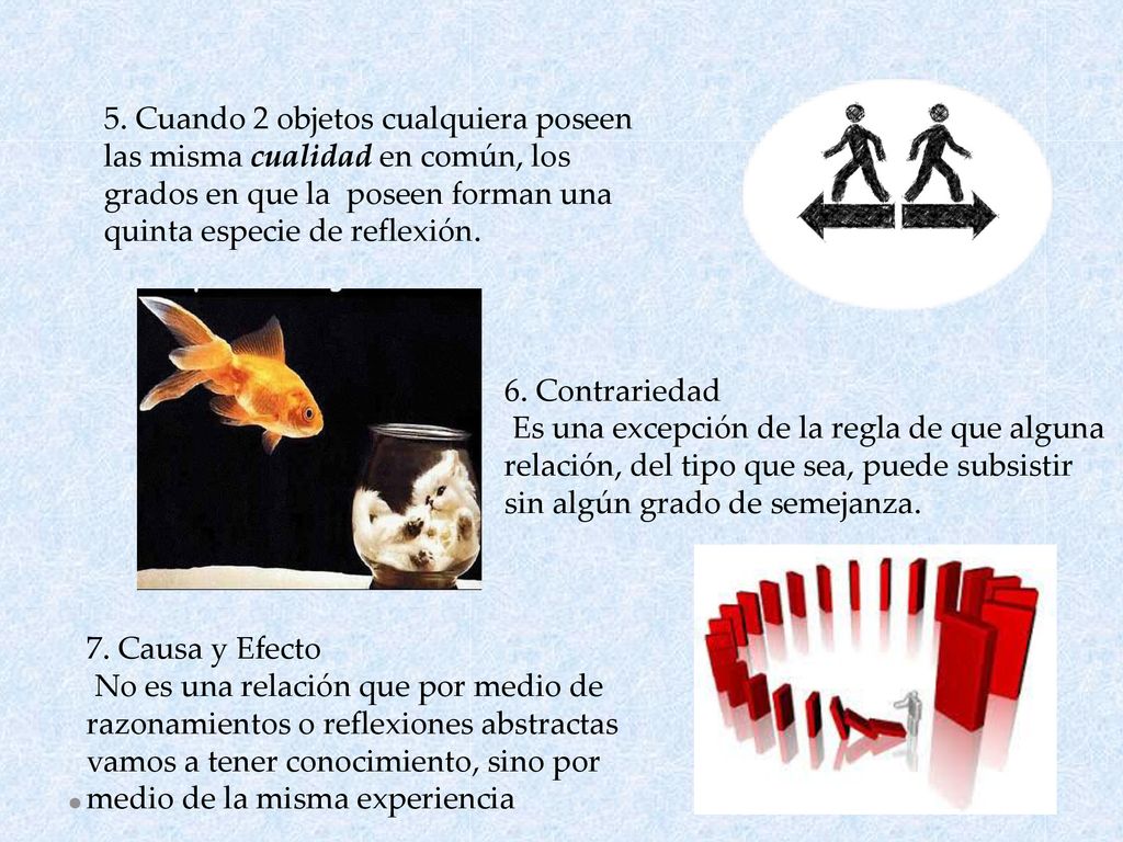 5. Cuando 2 objetos cualquiera poseen las misma cualidad en común, los grados en que la poseen forman una quinta especie de reflexión.