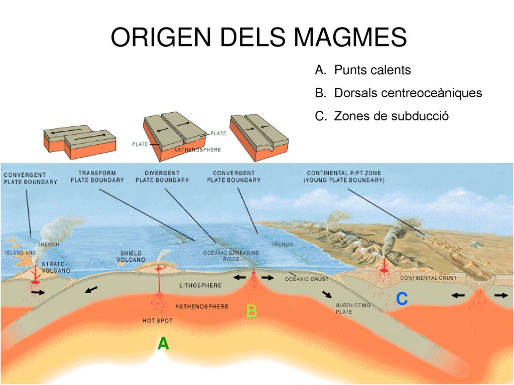 ORIGEN DELS MAGMES C B A Punts calents Dorsals centreoceàniques