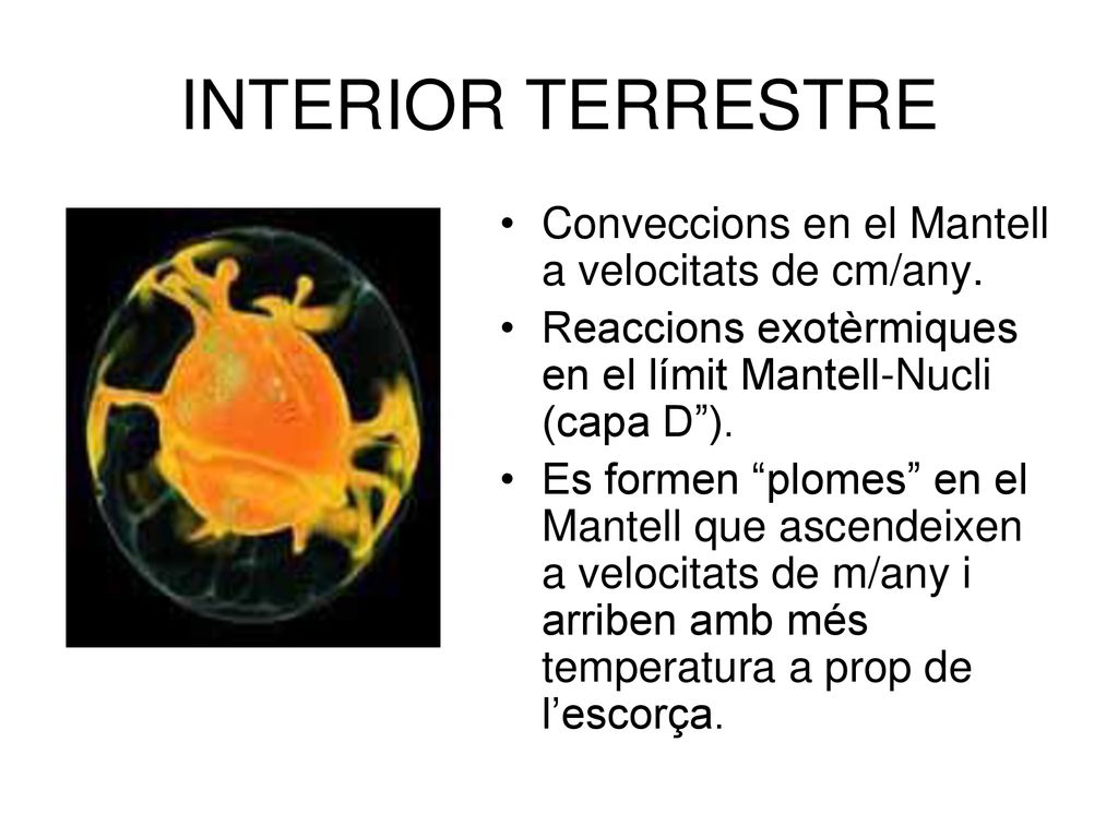 INTERIOR TERRESTRE Conveccions en el Mantell a velocitats de cm/any.