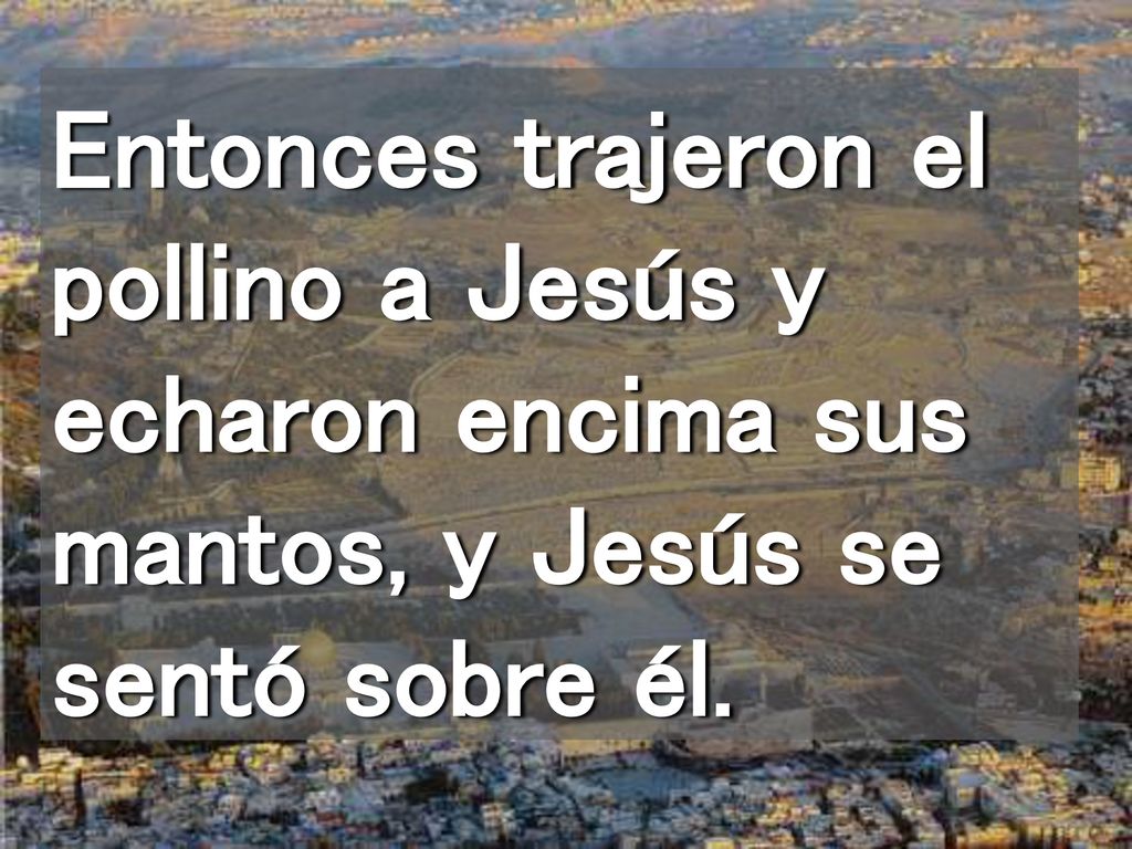 Entonces trajeron el pollino a Jesús y echaron encima sus mantos, y Jesús se sentó sobre él.
