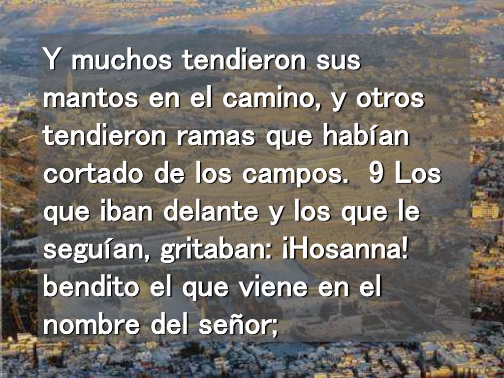 Y muchos tendieron sus mantos en el camino, y otros tendieron ramas que habían cortado de los campos.