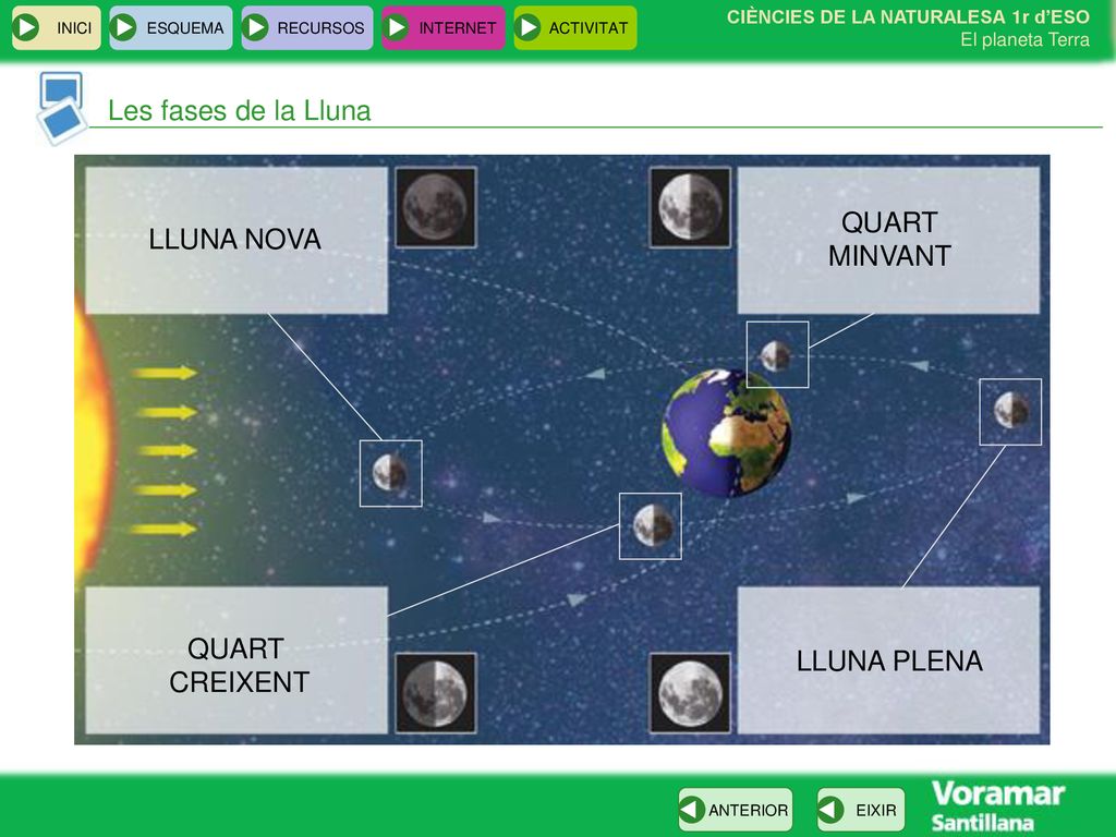 Les fases de la Lluna QUART LLUNA NOVA MINVANT QUART LLUNA PLENA