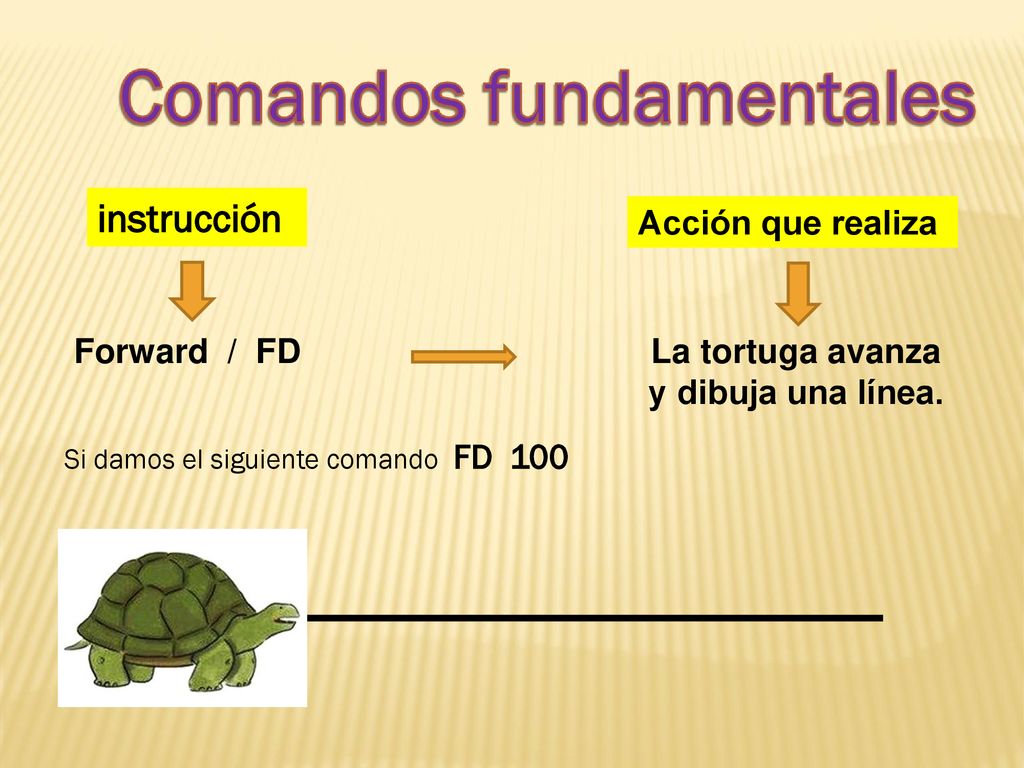 instrucción Acción que realiza Forward / FD La tortuga avanza