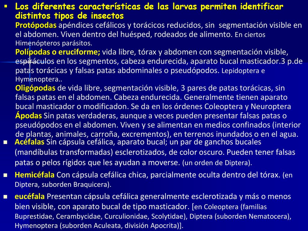 Los diferentes características de las larvas permiten identificar distintos tipos de insectos Protópodas apéndices cefálicos y torácicos reducidos, sin segmentación visible en el abdomen. Viven dentro del huésped, rodeados de alimento. En ciertos Himenópteros parásitos. Polípodas o eruciforme; vida libre, tórax y abdomen con segmentación visible, espiráculos en los segmentos, cabeza endurecida, aparato bucal masticador.3 p.de patas torácicas y falsas patas abdominales o pseudópodos. Lepidoptera e Hymenoptera.. Oligópodas de vida libre, segmentación visible, 3 pares de patas torácicas, sin falsas patas en el abdomen. Cabeza endurecida. Generalmente tienen aparato bucal masticador o modificadon. Se da en los órdenes Coleoptera y Neuroptera Ápodas Sin patas verdaderas, aunque a veces pueden presentar falsas patas o pseudópodos en el abdomen. Viven y se alimentan en medios confinados (interior de plantas, animales, carroña, excrementos), en terrenos inundados o en el agua.