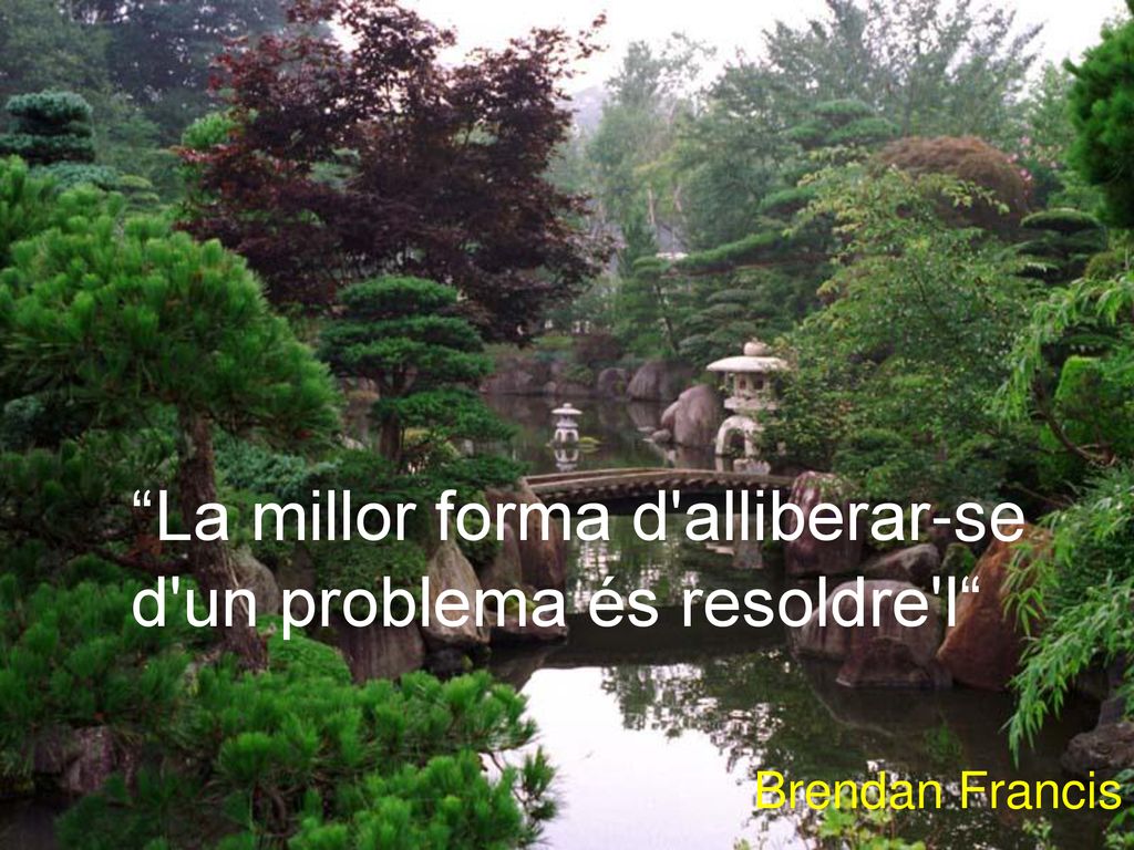 33 La millor forma d alliberar-se d un problema és resoldre l Brendan Francis