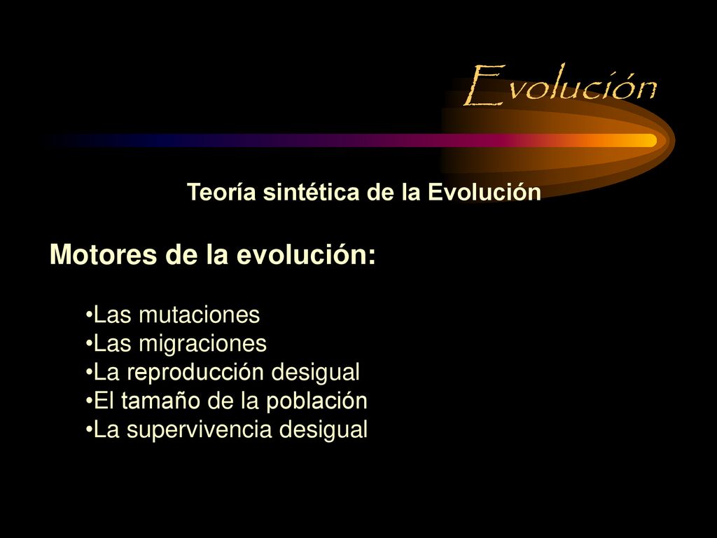 Evolución Motores de la evolución: Teoría sintética de la Evolución